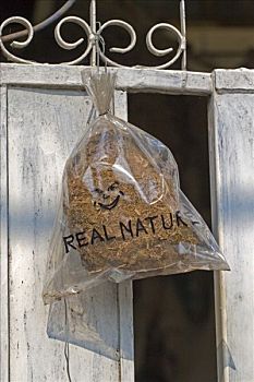 塑料袋,自然