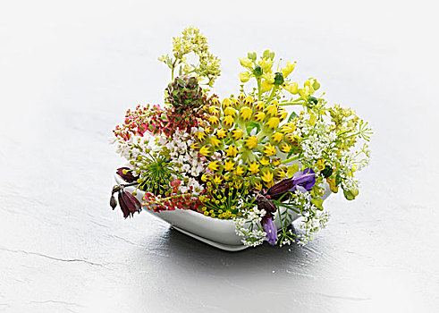 碗,野生药草,花