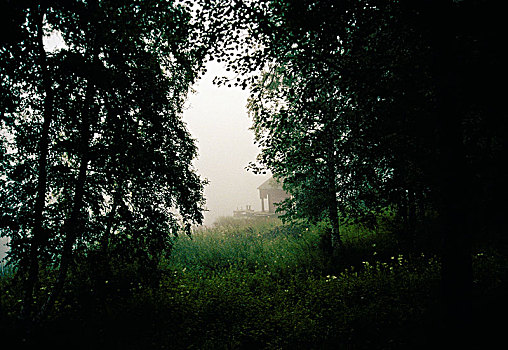 雾状,湖,风景,林间空地,瑞典