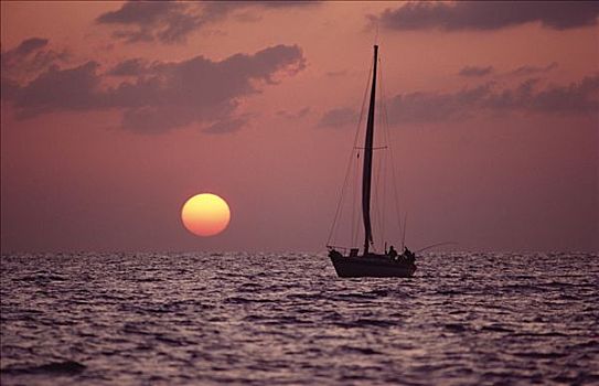 帆船,漂泊,日落,斯里兰卡
