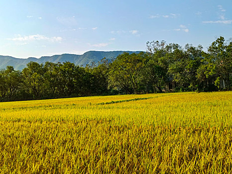 山野乡村,田园风光