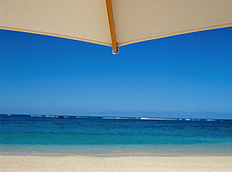 海洋,白色,海滩伞