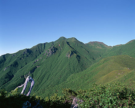 山