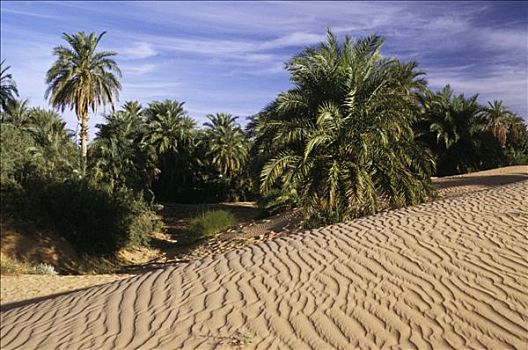 毛里塔尼亚,绿洲,沙子