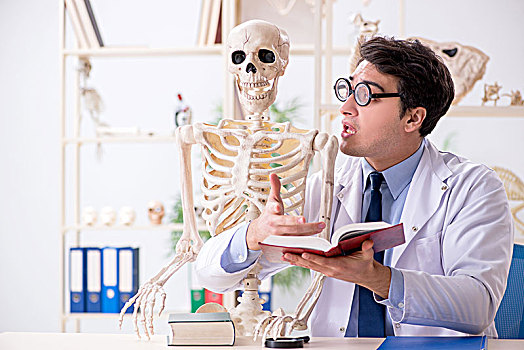 疯狂,教授,学习,人体骨骼