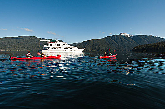 阿拉斯加,旅游,追求,漂流,湾,河,自然荒野区,东南阿拉斯加