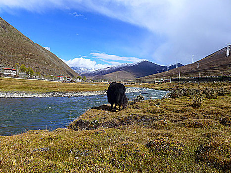 立启河