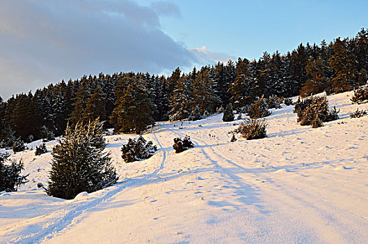 冬天,风景,靠近,黑森林,巴登符腾堡,德国