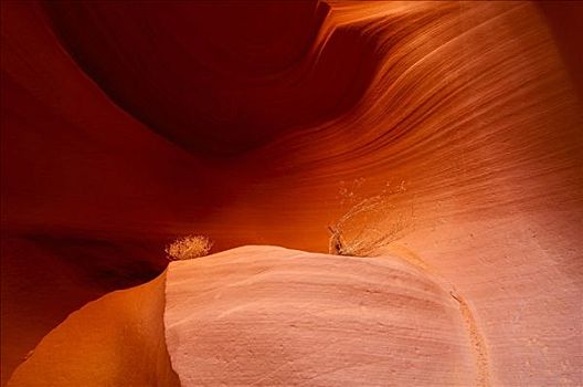 休息,砂岩构造,狭缝谷,亚利桑那,美国,北美
