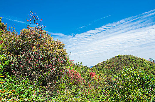 山岭风光