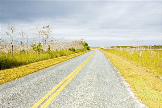 道路,大沼泽地国家公园,佛罗里达,美国