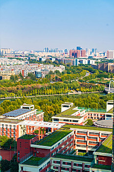 郑州会展中心远景屋顶绿化图