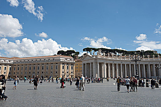 广场,左边,松树,罗马,背景