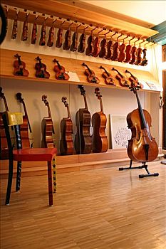 弦乐器,展示,小提琴,店