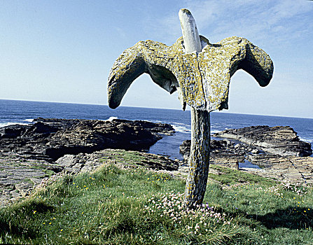 鲸,骨头,杆,北海岸