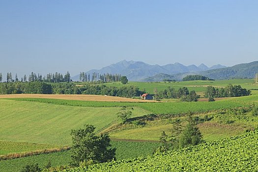 乡村风光,山