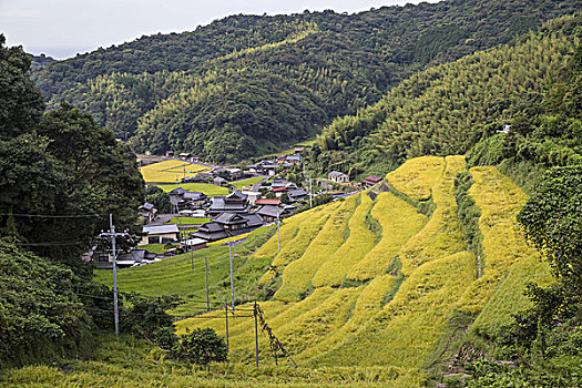 稻米梯田,日本