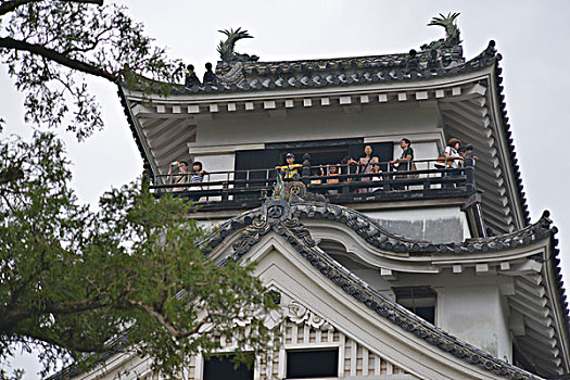 斑点,高知,城堡,日本