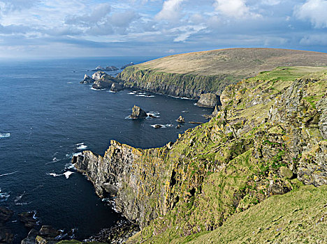 昂斯特,岛屿,国家级保护区,北方,尖,设得兰群岛,苏格兰,大幅,尺寸