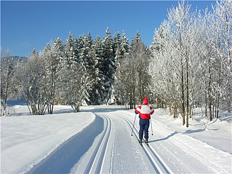 冬季运动