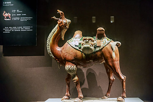 中国河南省洛阳博物馆馆藏唐三彩骆驼俑
