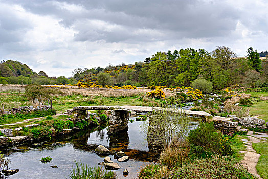 桥,东方,河,达特姆尔高原,国家公园,德文郡,英格兰,英国