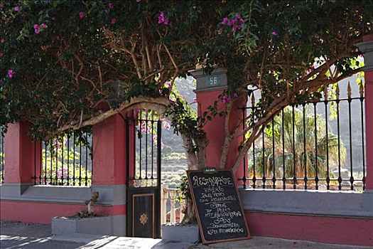 大门,餐馆,叶子花属,加纳利群岛,西班牙,欧洲