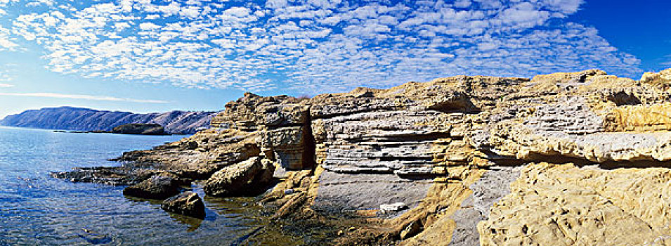 岩石,海岸,马里诺,拉布岛,海湾,克罗地亚,欧洲