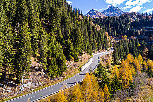 道路,秋天,瑞士,欧洲