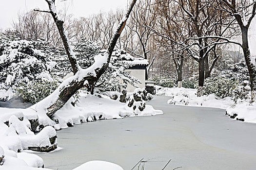 园林雪景