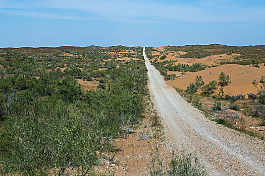 乌兹别克斯坦沙漠公路