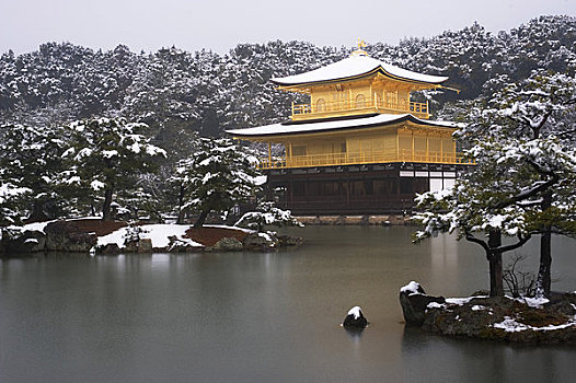 日本,京都,金阁寺,庙宇,金亭,世界遗产,雪