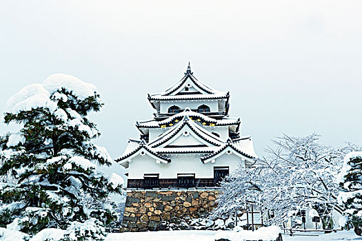 城堡,雪