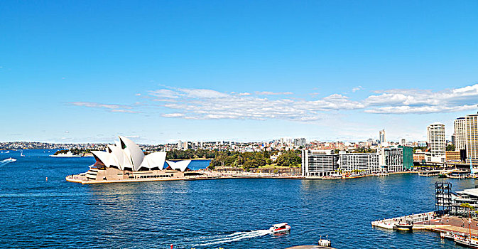澳大利亚,悉尼歌剧院,湾,天际线,城市