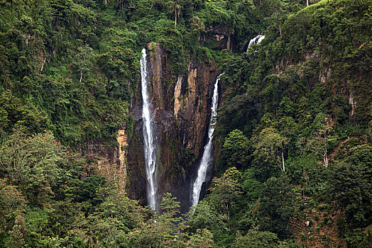 瀑布,中央省,斯里兰卡,亚洲