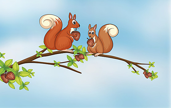 松树上的松鼠卡通图片