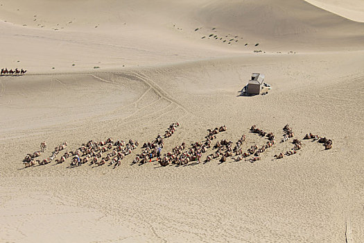 中国甘肃敦煌鸣沙山骆驼