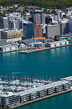 风景,惠灵顿,中央商务区,港口,码头,维多利亚山,暸望,北岛,新西兰