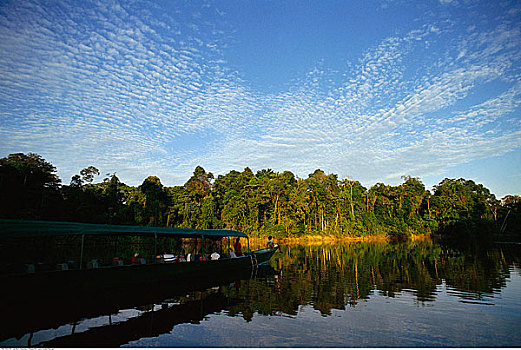 船,水上,亚马逊盆地,厄瓜多尔