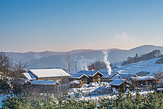 雪地,树林,村庄,雪村