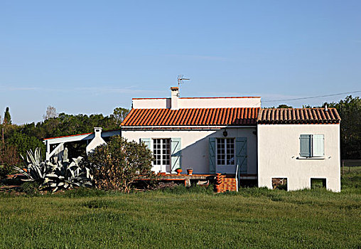 乡村,房子,朗格多克-鲁西永大区,法国南部