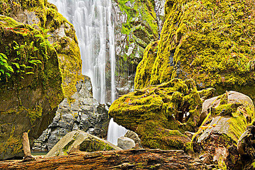 溪流,瀑布,尤姆瓦国家森林公园,俄勒冈,美国