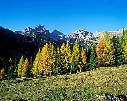 山,风景,萨尔茨堡州,奥地利,欧洲