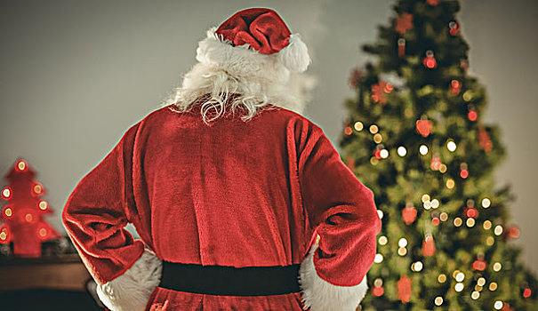 后视图,圣诞老人,站立,正面,圣诞树,在家,客厅