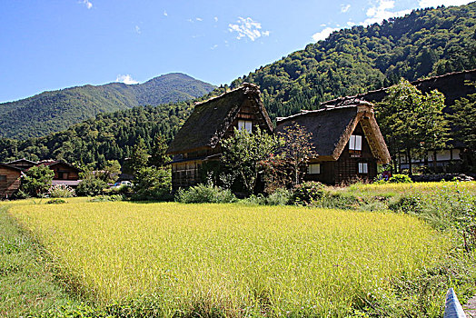 白川乡合掌村