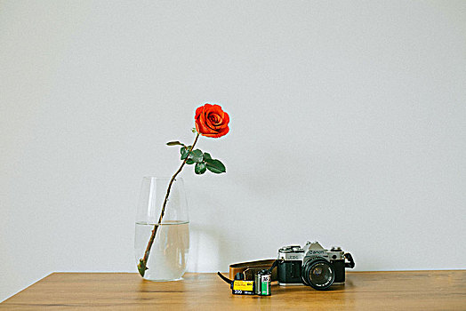 玫瑰与相机