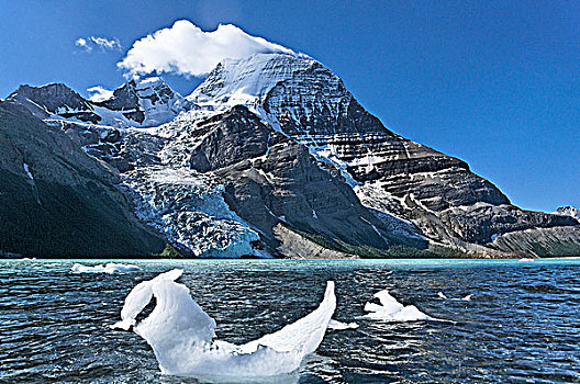 冰,大块,冰山,冰河,湖,罗布森山,省立公园,不列颠哥伦比亚省,加拿大