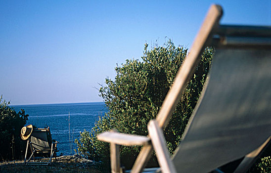 一对,空,折叠躺椅,橄榄树,向外看,上方,爱琴海