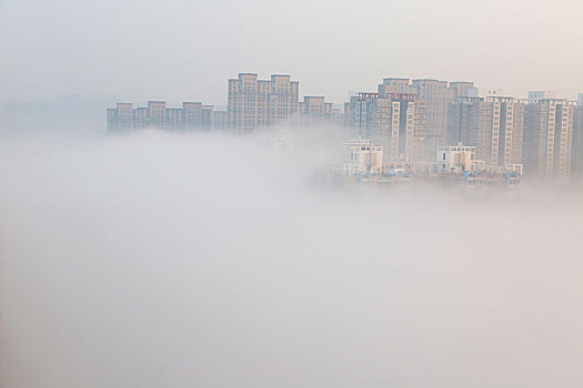 城市雾景