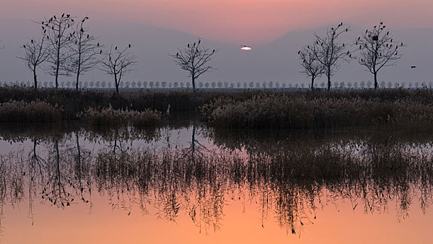 沙湖农场,沙湖景区